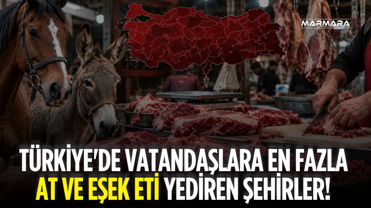 Türkiye'de Vatandaşlara En Fazla At ve Eşek Eti Yediren Şehirler! Bakanlığın Listesi Şoke Etti
