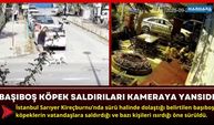 Başıboş Köpek Saldırıları Kameraya Yansıdı