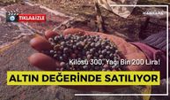 Altın Değerinde Satılıyor