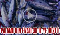 Palamutun Fiyatı 30 TL’ye Düştü