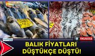 Balık Fiyatları Düştükçe Düştü!