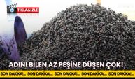 Adını Bilen Az Peşine Düşen Çok!
