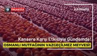 Kansere Karşı Etkisiyle Gündem Olan Osmanlı Mutfağının Vazgeçilmez Meyvesi!