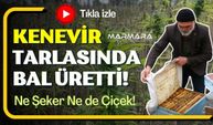 Kenevir Tarlasında Bal Üretti!