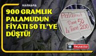 PALAMUDUN TANESİ 50 TL’YE DÜŞTÜ!