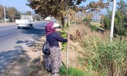 Bu Görüntüler Sonrası Ekipler Harekete Geçti