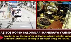 Başıboş Köpek Saldırıları Kameraya Yansıdı