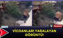 VİCDANLARI YARALAYAN GÖRÜNTÜ!