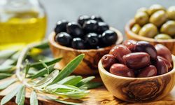 Zeytinin Bilinmeyen Yolculuğu