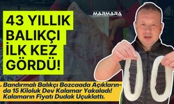 15 Kiloluk Dev Kalamar Yakalandı! Görenler Gözlerine İnanamadı