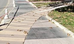 Bigadiç'te Kordonboyu Yenileniyor!