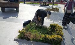 Bigadiç’te Parklar ve Yeşil Alanlar Yenileniyor!