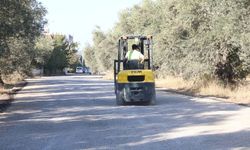 Edremit’te Yollar Değişiyor! Akçay’da Asfalt Seferberliği