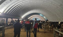 Balıkesir’de Hayvan Pazarlarına Sıkı Takip!