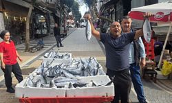 Balıkesir’de Palamut Fiyatları 75 Liraya Düştü