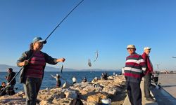 Bandırma'da Kovalar Balıkla Doldu