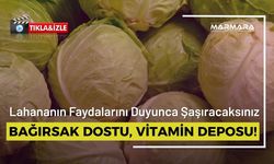 Bağırsak Dostu, Vitamin Deposu Lahanada Hasat Zamanı