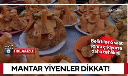 Mantar Yiyenler Dikkat!