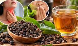 Ses Kısıklığı Ve Ağız Kokusu İçin Kebabe Otu! Faydaları Ve Kullanımı Merak Ediliyor