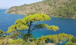 Bir Giden Günlerce Dönmüyor! Doğanın İçinde Saklı Cennet