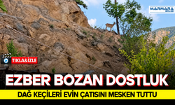 Ezber Bozan Dostluk