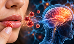 Uçuk Virüsü Alzheimer Riskini Artırabilir mi?