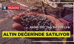 Altın Değerinde Satılıyor