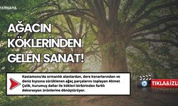 Ağacın Köklerinden Gelen Sanat!