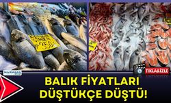 Balık Fiyatları Düştükçe Düştü!