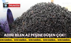 Adını Bilen Az Peşine Düşen Çok!