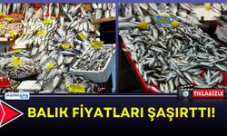 Balık Fiyatları Şaşırttı!