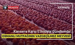 Kansere Karşı Etkisiyle Gündem Olan Osmanlı Mutfağının Vazgeçilmez Meyvesi!