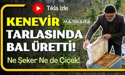 Kenevir Tarlasında Bal Üretti!