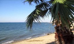 Ne Ayvalık Ne Assos! Edremit’in Güre Koyu Sakinliğiyle Büyülüyor