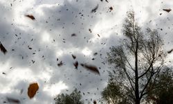 Edremit’te Hava Nasıl Olacak? Meteoroloji’den 3 Ekim Hava Durumu Tahmini