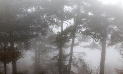Meteoroloji Bursa İçin Açıkladı! Cuma Günü Hava Nasıl Olacak?