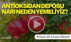 Neden Nar Yemeliyiz?