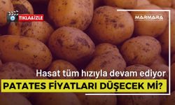 Patateste Hasat Başladı! Fiyatlar Nasıl Etkilenecek?