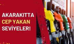 Akaryakıtta Cep Yakan Seviyeler!