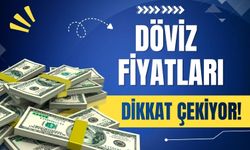 Döviz Fiyatları Dikkat Çekiyor