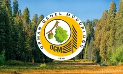 Orman Genel Müdürlüğü 41 Personel Alacak! KPSS Şartı Yok!