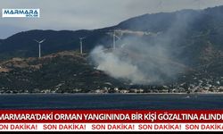 Marmara’daki Orman Yangınında Bir Kişi Gözaltına Alındı