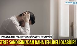 Stres Sandığınızdan Daha Tehlikeli Olabilir!