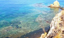 Çeşme’nin Şifalı Kaçış Noktası: Şifne Plajı Deniz Ve Termali Bir Arada Sunuyor