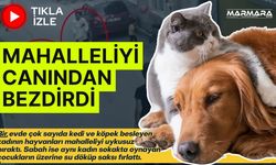 Mahallelinin Sabrı Taştı! Gece Yarısı Sokağa Çıktılar