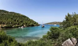 Filiz Koyu’nun Berrak Denizi Mest Ediyor