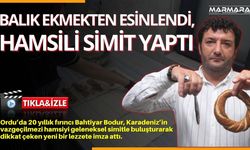 Balık Ekmekten Esinlendi, Hamsili Simit Yaptı