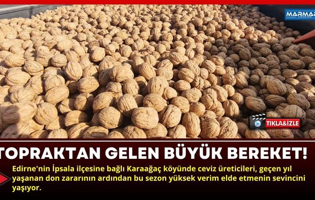 Topraktan Gelen Büyük Bereket!