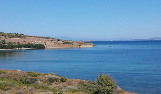 Zeytinliklerin Arasında Gizlenen Eşsiz Tatil Rotası