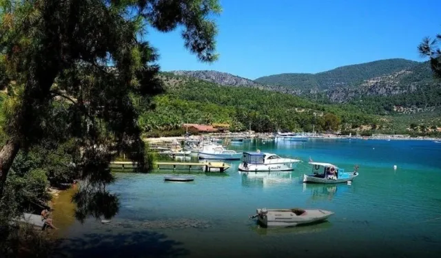 Didim’in Sessiz Kaçış Noktası: Filiz Koyu Doğaseverleri Bekliyor